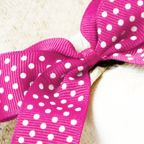 SWISS DOT GROSGRAIN 7/8in